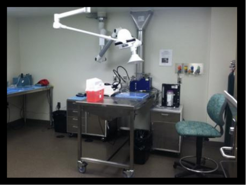 rat surgical room pic